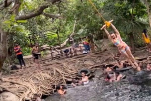 Arusha/Moshi Hot Springs Tour (Chemka) med Kingstone Asilia