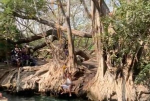 Arusha/Moshi Hot Springs Tour (Chemka) med Kingstone Asilia