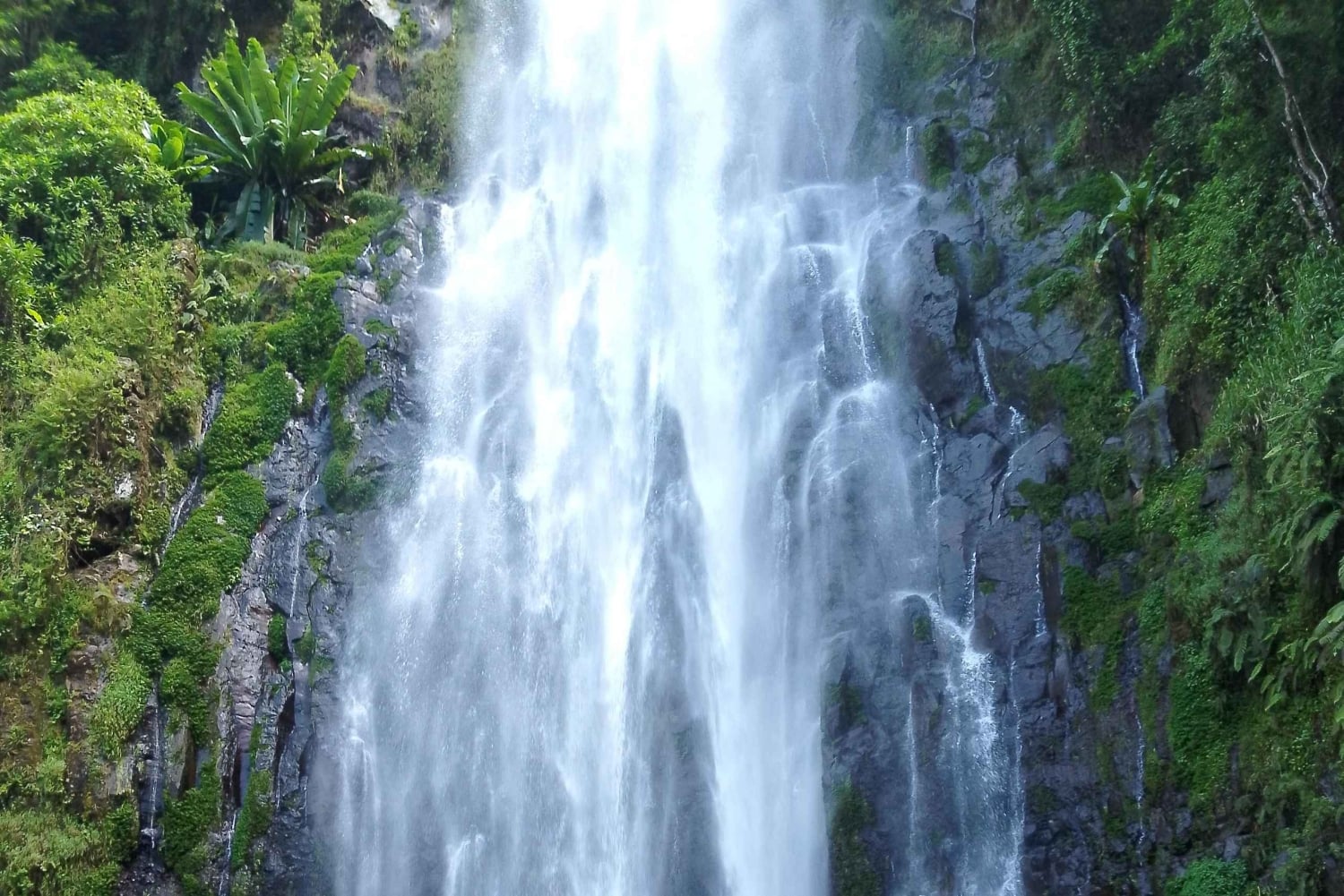 Arusha/Moshi : cascade, café et vin de banane