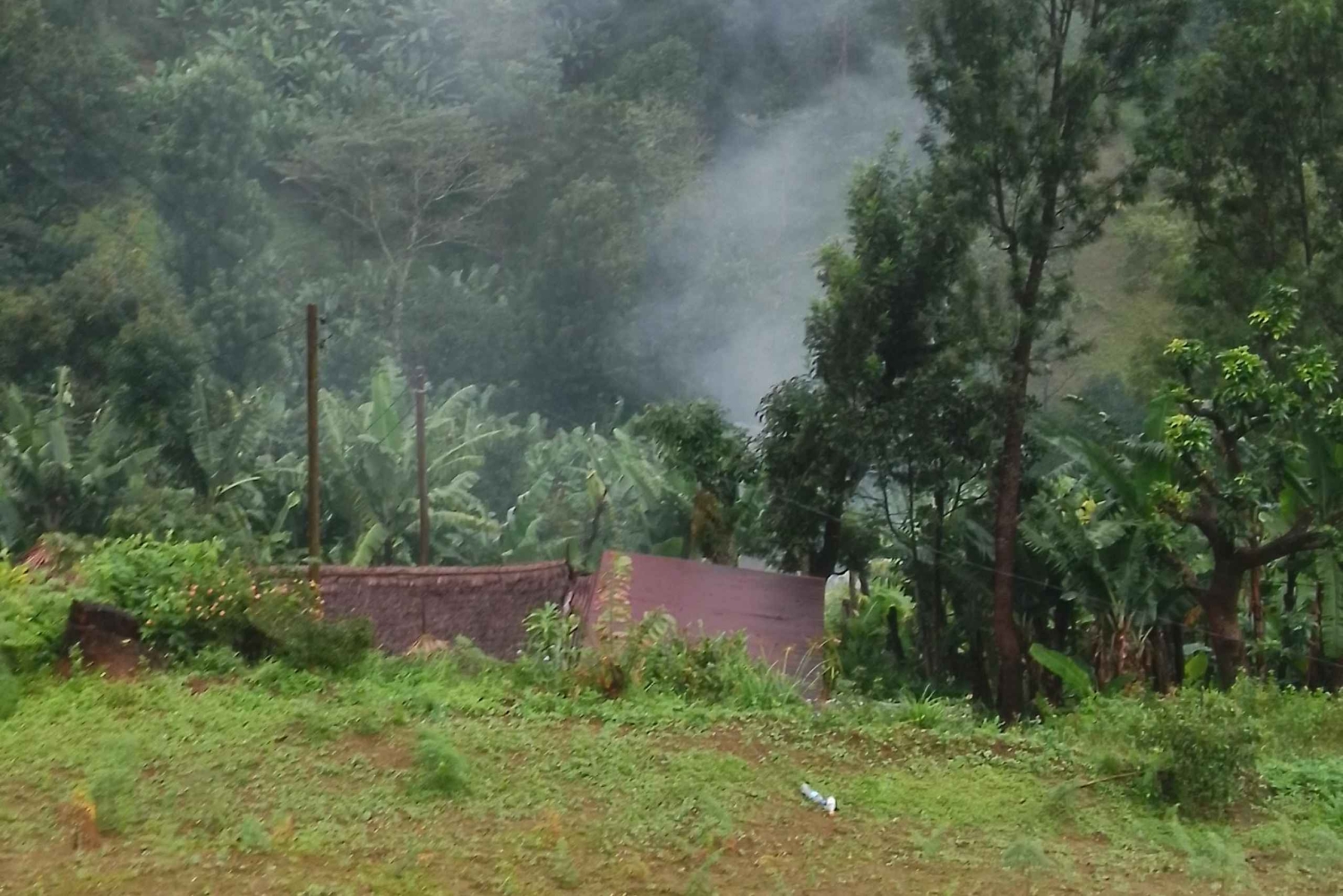 Arusha/Moshi : cascade, café et vin de banane