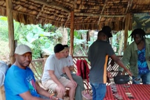 Arusha/Moshi: cascada, tour del café y vino de plátano