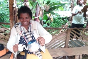 Arusha/Moshi: cascada, tour del café y vino de plátano