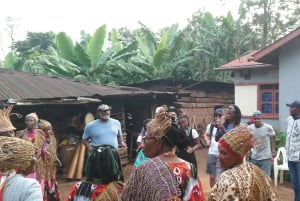 Arusha/Moshi: cascada, tour del café y vino de plátano