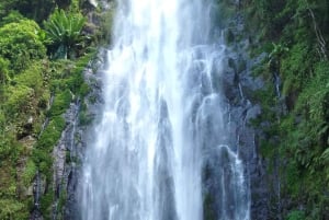 Arusha/Moshi : cascade, café et vin de banane