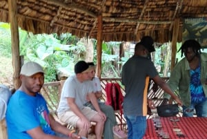 Arusha/Moshi : cascade, café et vin de banane