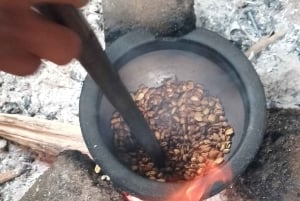 Arusha/Moshi : cascade, café et vin de banane