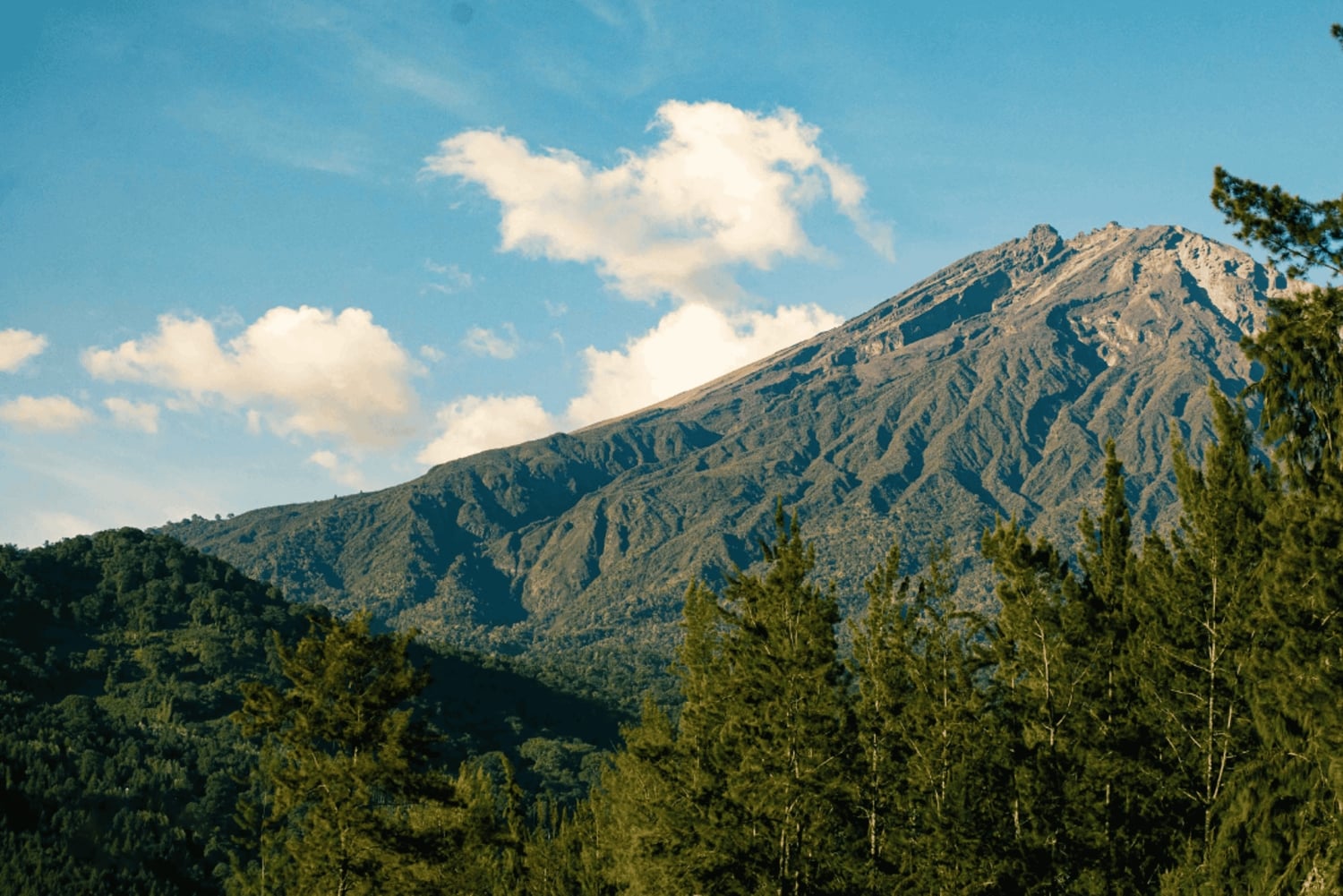 Arusha: Mount Meru 4-dagers vandretur med overnattingssted