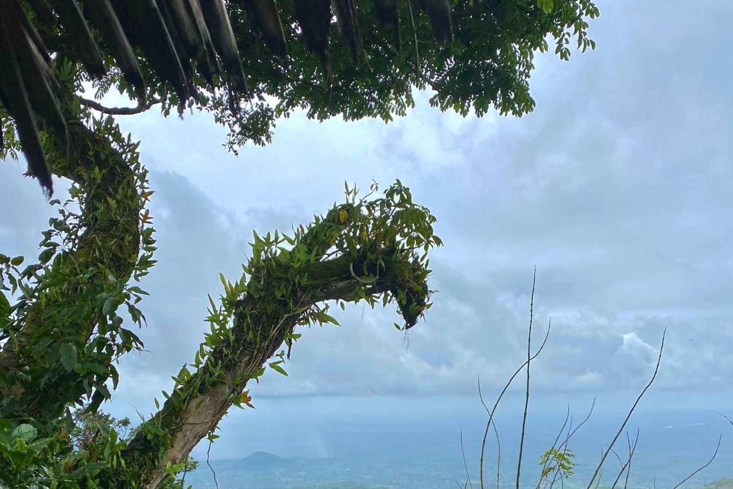 Arusha: Mount Meru Day Hike with Lunch and Transfers