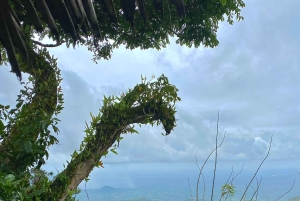 Arusha: Mount Meru Day Hike with Lunch and Transfers