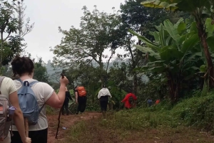 Arusha: Mount Meru Day Hike with Lunch and Transfers