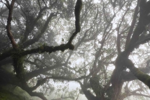 Arusha: Mount Meru Day Hike with Lunch and Transfers