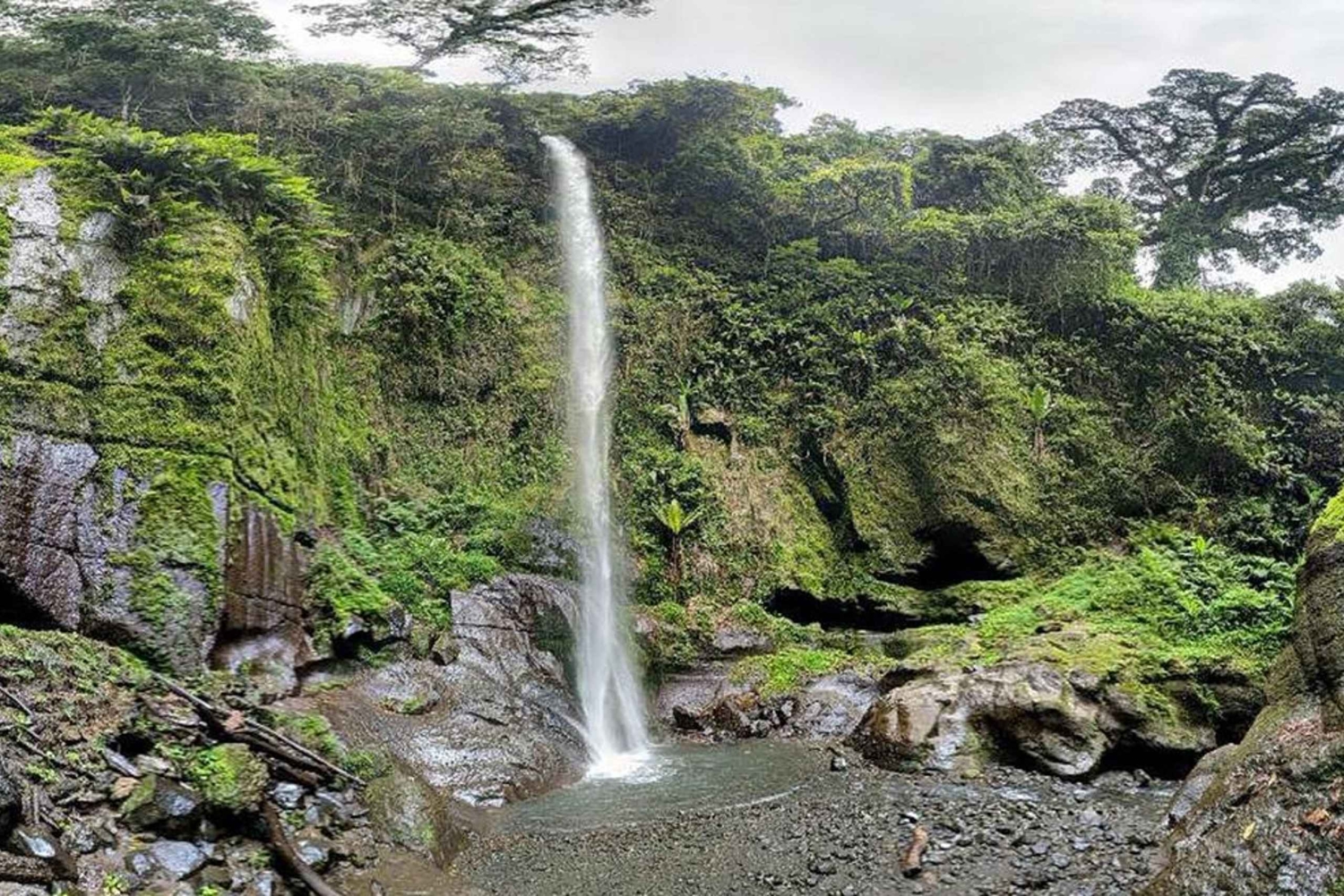 Arusha: Mount Meru Waterfall Day Trip with Lunch