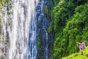 Arusha: Dagsutflykt till Mount Merus vattenfall med lunch