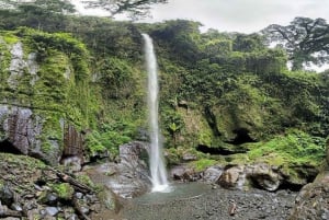 Arusha: Dagsutflykt till Mount Merus vattenfall med lunch