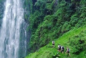 Arusha: Mount Meru Waterfall Day Trip with Lunch