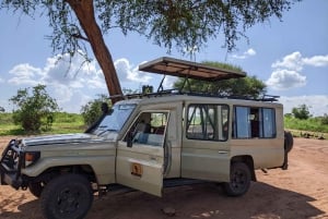 Arusha: Dagstur til Mto wa Mbu, Hadzabe og Datoga-stammene