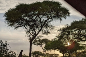 Arusha: Mto wa Mbu, Hadzabe, and Datoga Tribes Day Trip