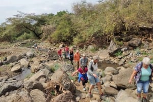 Arusha: Rundtur i landsbyen Mto wa Mbu, vandfald og Maasai Boma