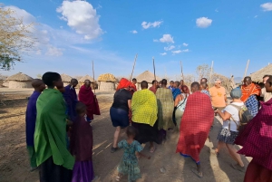 Arusha: Rundtur i landsbyen Mto wa Mbu, vandfald og Maasai Boma