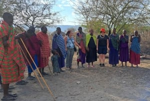 Arusha: Rundtur i landsbyen Mto wa Mbu, vandfald og Maasai Boma