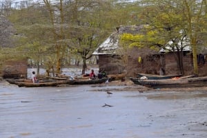 Arusha: Rundtur i landsbyen Mto wa Mbu, vandfald og Maasai Boma