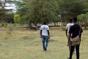 Arusha: Rundtur i landsbyen Mto wa Mbu, vandfald og Maasai Boma