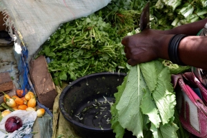 Arusha: Rundtur i landsbyen Mto wa Mbu, vandfald og Maasai Boma