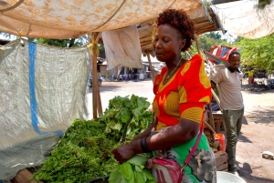 Arusha: Rundtur i landsbyen Mto wa Mbu, vandfald og Maasai Boma