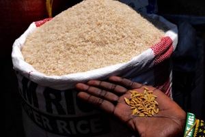 Arusha: Rundtur i landsbyen Mto wa Mbu, vandfald og Maasai Boma