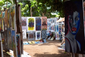 Arusha: Rundtur i landsbyen Mto wa Mbu, vandfald og Maasai Boma