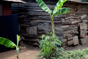 Arusha: Rundtur i landsbyen Mto wa Mbu, vandfald og Maasai Boma