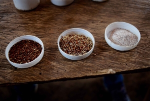 Arusha: Rundtur i landsbyen Mto wa Mbu, vandfald og Maasai Boma