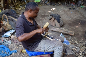 Arusha: Rundtur i landsbyen Mto wa Mbu, vandfald og Maasai Boma