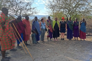 Arusha: Rundtur i landsbyen Mto wa Mbu, vandfald og Maasai Boma