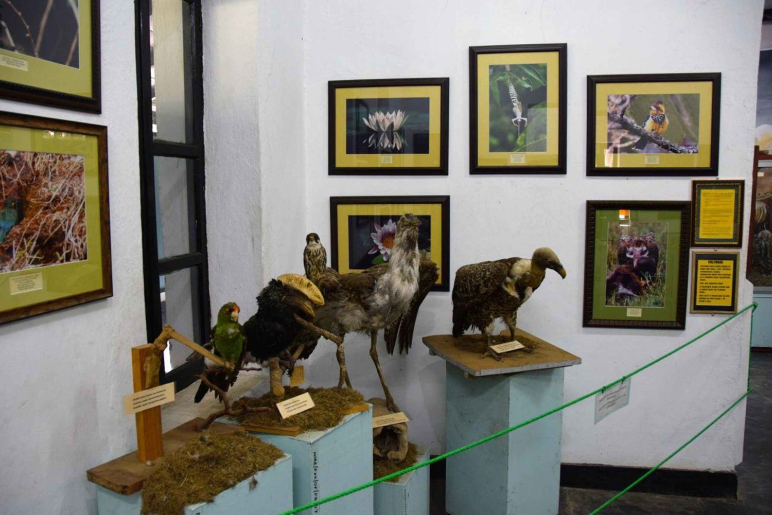 Arusha: Tour guiado pelo Museu de História Natural