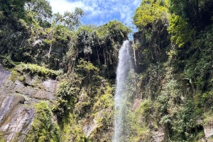 Arusha: Napuru-vattenfallet och Mount Meru Nature Walk