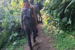 Аруша: пешая прогулка с гидом к водопадам Напуру и посещение деревни