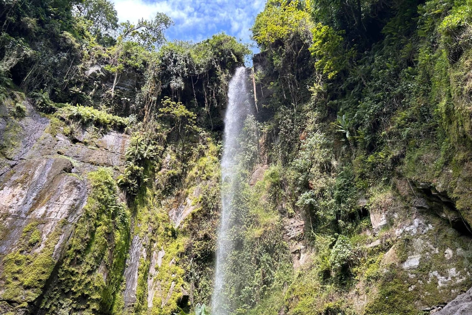 Arusha: Napuru-fossene - guidet fottur