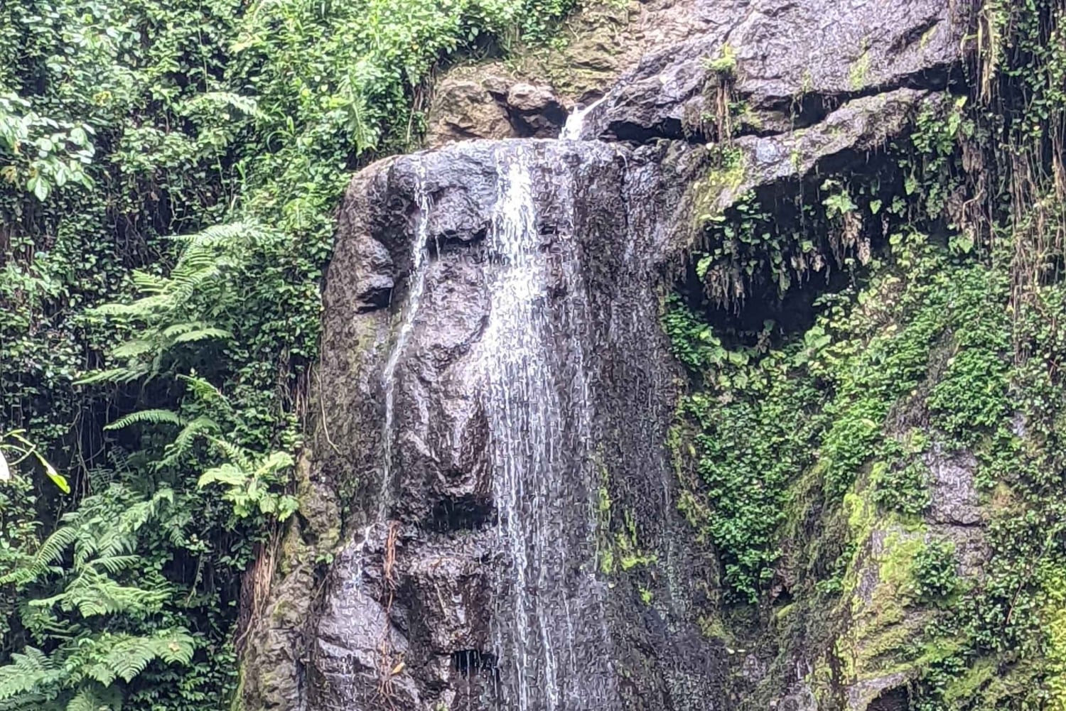 Arusha: Napuru-fossene - guidet fottur