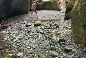 Arusha : Randonnée guidée aux chutes d'eau de Napuru