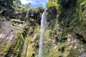 Arusha: Napuru-fossene - guidet fottur