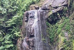 Arusha: Napuru-fossene - guidet fottur