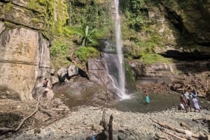 Arusha: Napuru-fossene - guidet fottur