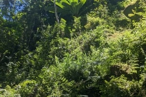 Arusha: Napuru-fossene - guidet fottur