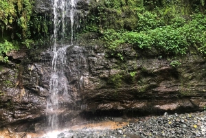 Arusha: Napuru-fossene - guidet fottur