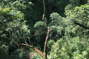 Arusha: Napuru-fossene - guidet fottur