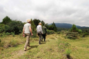 Arusha: Dagstur til nasjonalparken med vandretur
