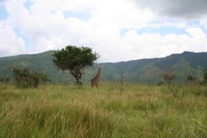 Dagstur til Arusha Nationalpark
