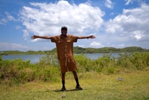 アルーシャ国立公園 1 日サファリ