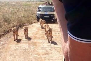 Arusha National Park: Private Jeep Tour